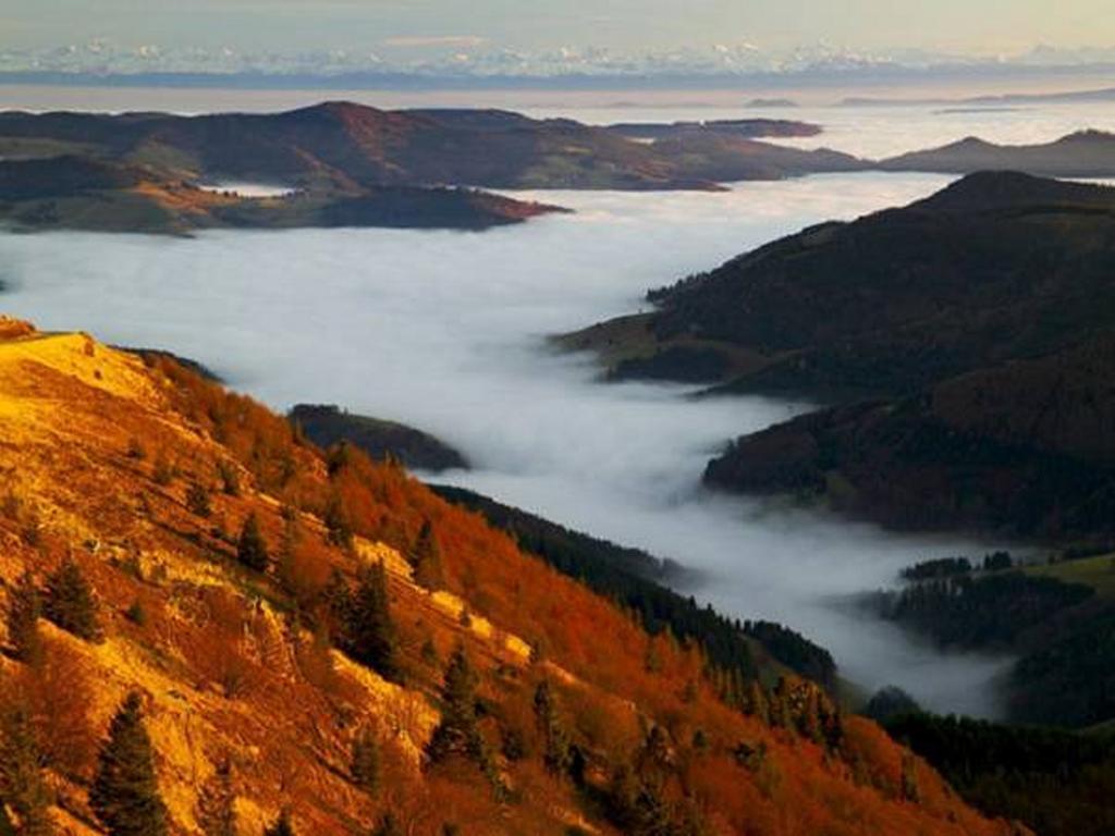 Appartamento Haus Grabenbuehl Wieden Esterno foto
